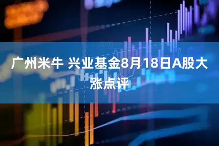 广州米牛 兴业基金8月18日A股大涨点评
